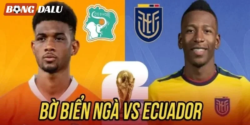 Đánh giá cặp trận Bờ Biển Ngà vs Ecuador