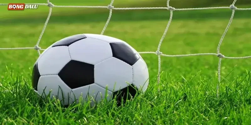 Vì sao người chơi cần nguồn tin bóng đá có độ tin cậy cao?