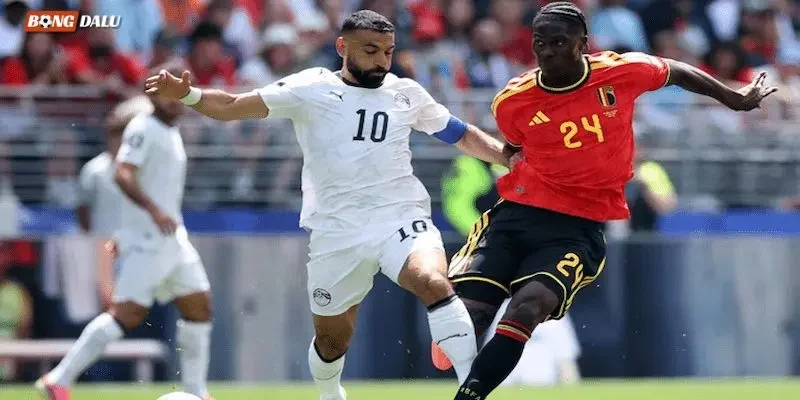 Lịch sử đối đầu đội New Zealand vs Ai Cập
