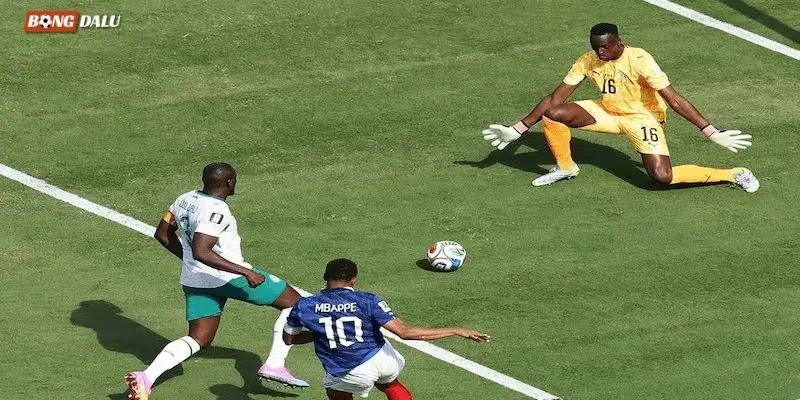 Lịch sử đối đầu Pháp vs Senegal